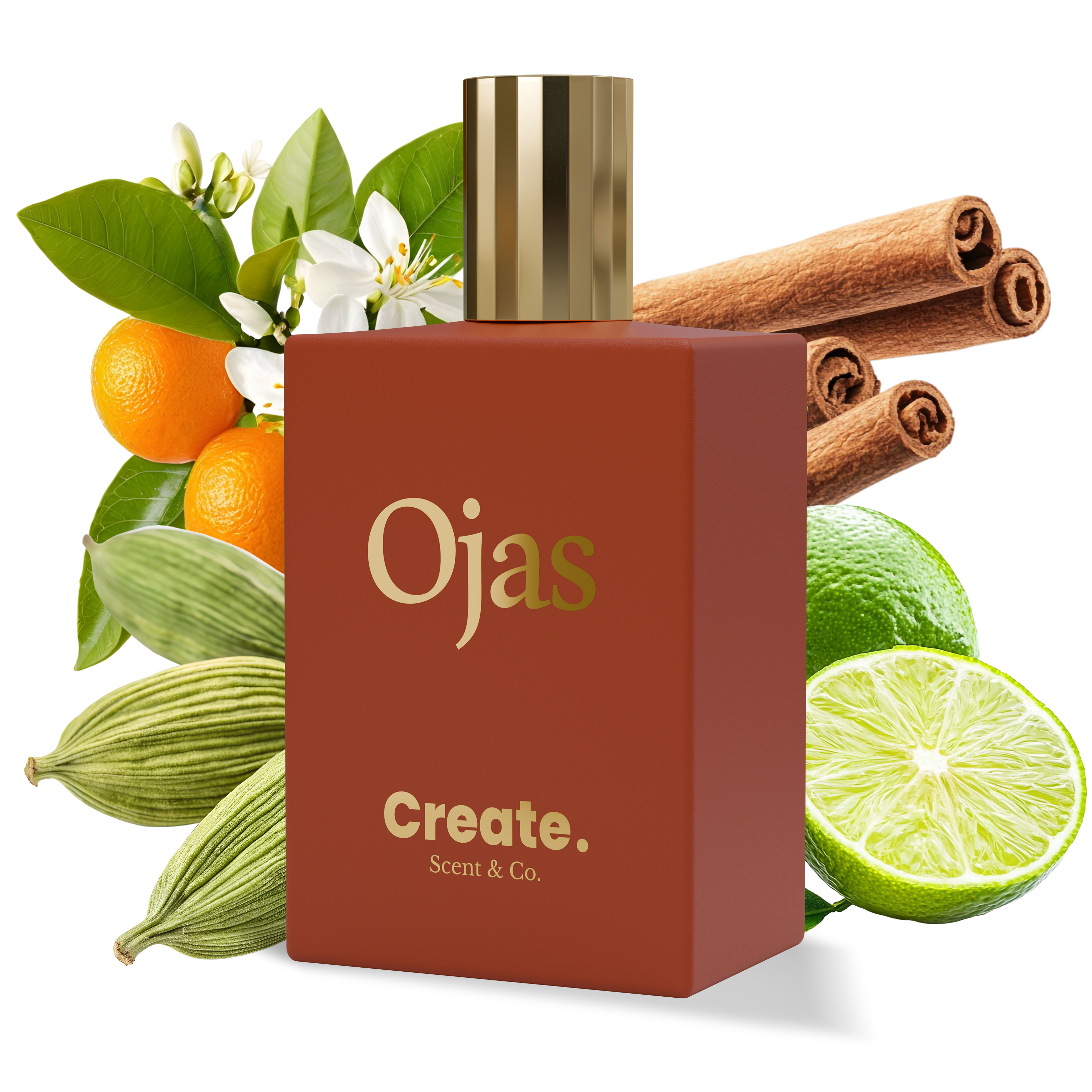 Ojas